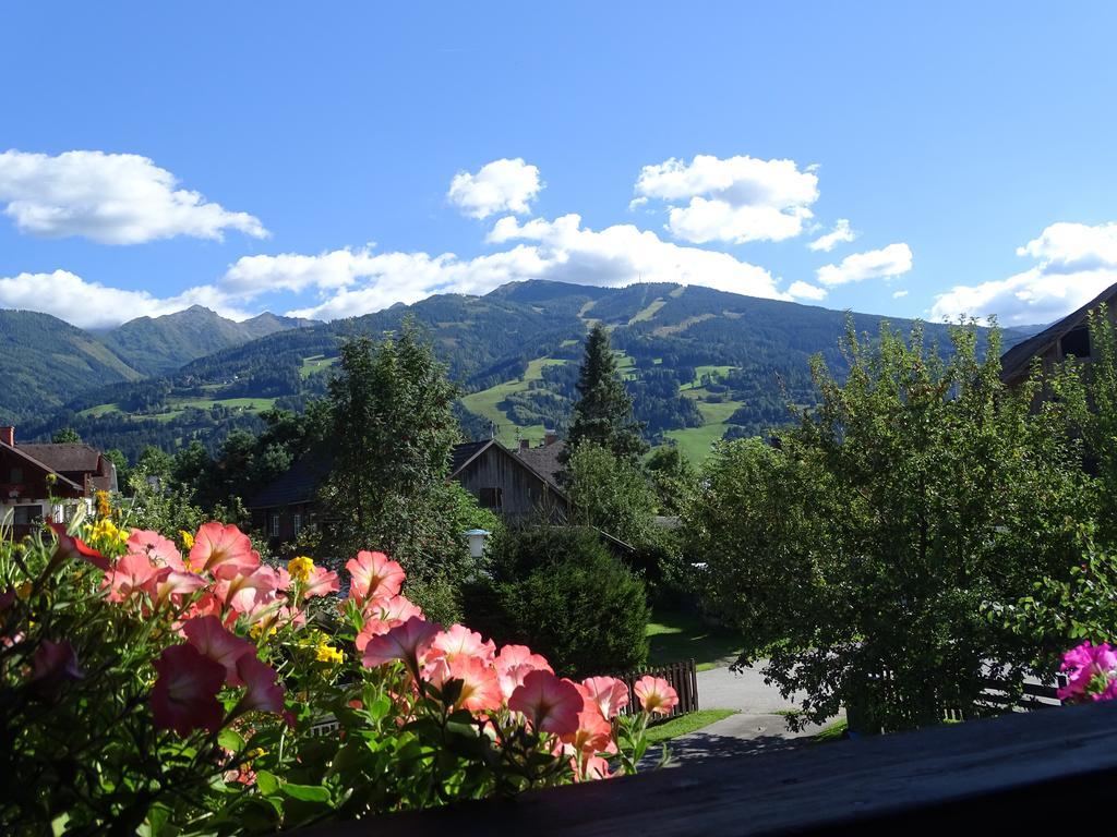 Ferienwohnung Schoenauer Haus im Ennstal Exteriör bild