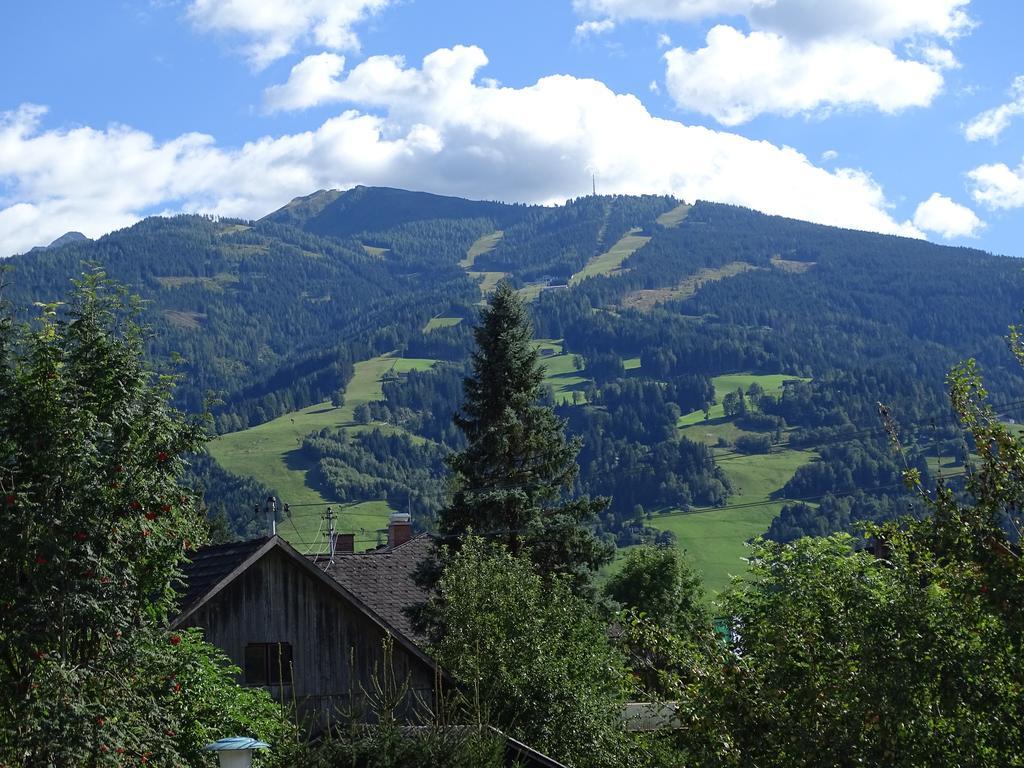 Ferienwohnung Schoenauer Haus im Ennstal Exteriör bild